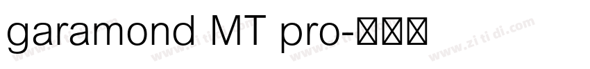 garamond MT pro字体转换